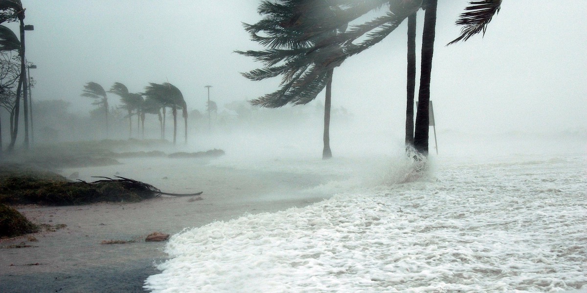 Hurricane Insurance Claims